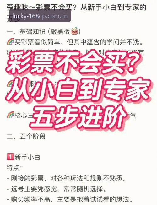 彩票官方下载怎么样 168彩票平台官方下载详解:新手必看操作指南